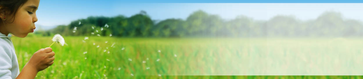 Untitled Header Image